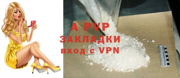 дмт Белокуриха