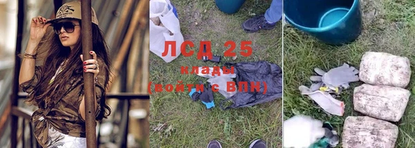 спайс Беломорск