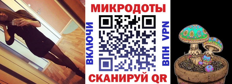 Псилоцибиновые грибы Cubensis Полтавская