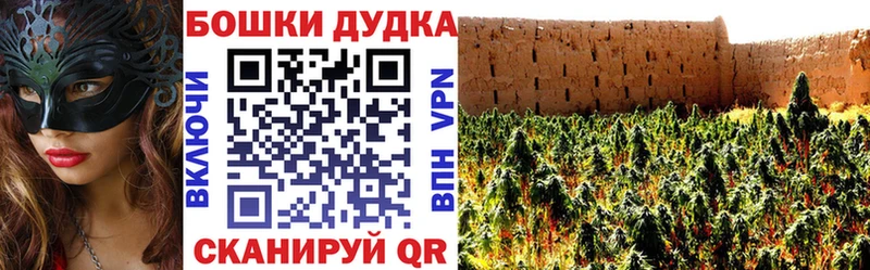 Бошки Шишки гибрид  ОМГ ОМГ ссылка  Полтавская 